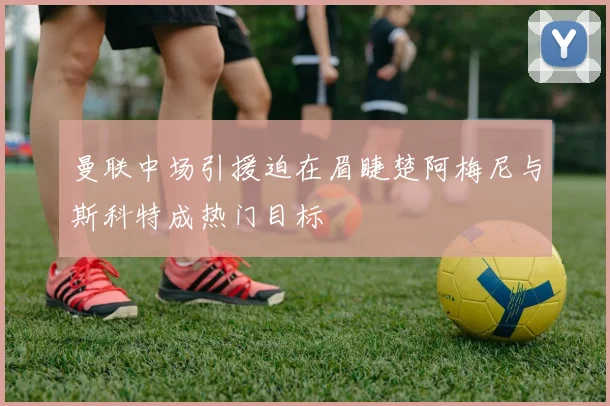 曼联中场引援迫在眉睫楚阿梅尼与斯科特成热门目标