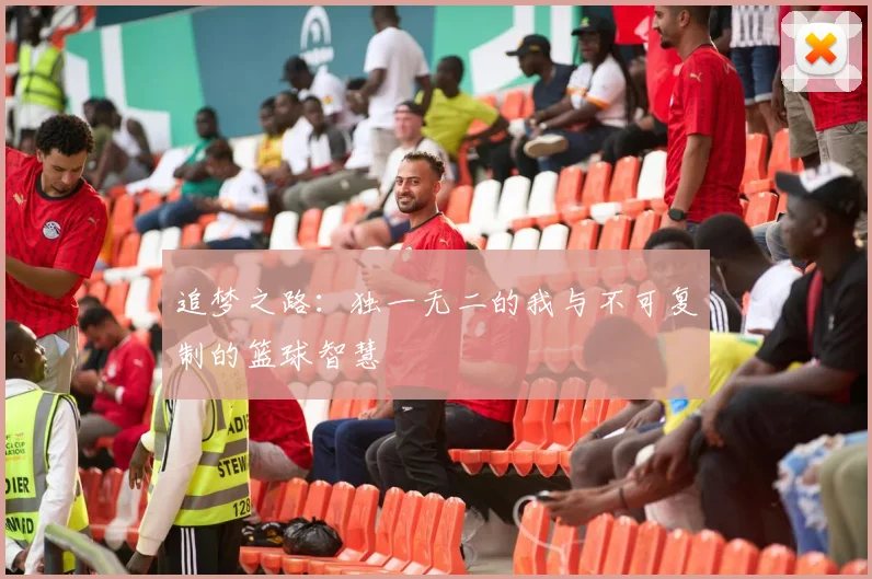 追梦之路：独一无二的我与不可复制的篮球智慧