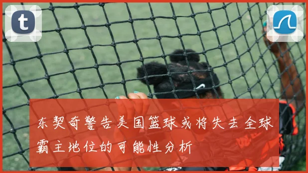 东契奇警告美国篮球或将失去全球霸主地位的可能性分析