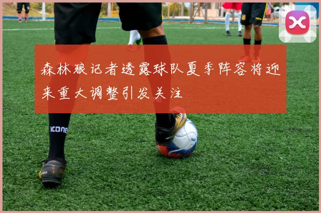 森林狼记者透露球队夏季阵容将迎来重大调整引发关注