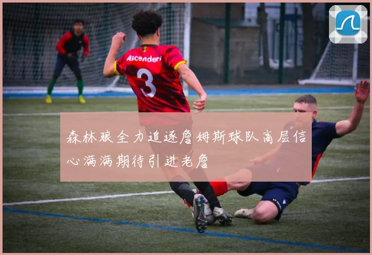 森林狼全力追逐詹姆斯球队高层信心满满期待引进老詹