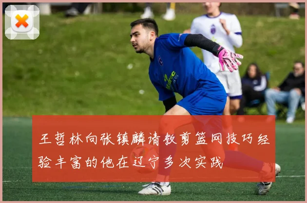 王哲林向张镇麟请教剪篮网技巧经验丰富的他在辽宁多次实践